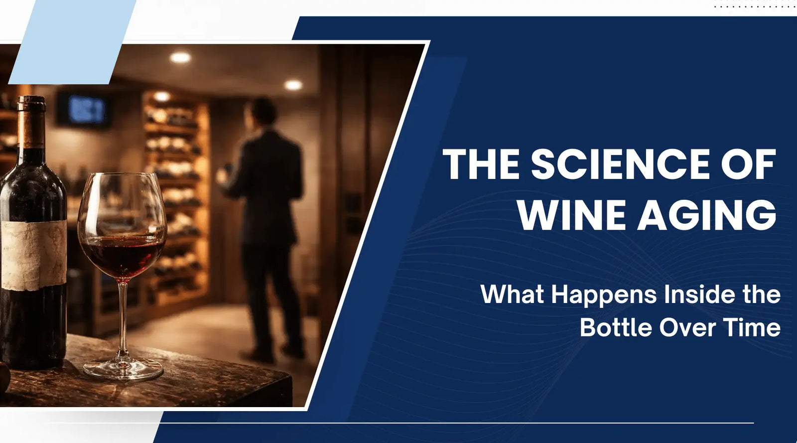 The Science of Wine Aging: What Happens Inside the Bottle Over Time